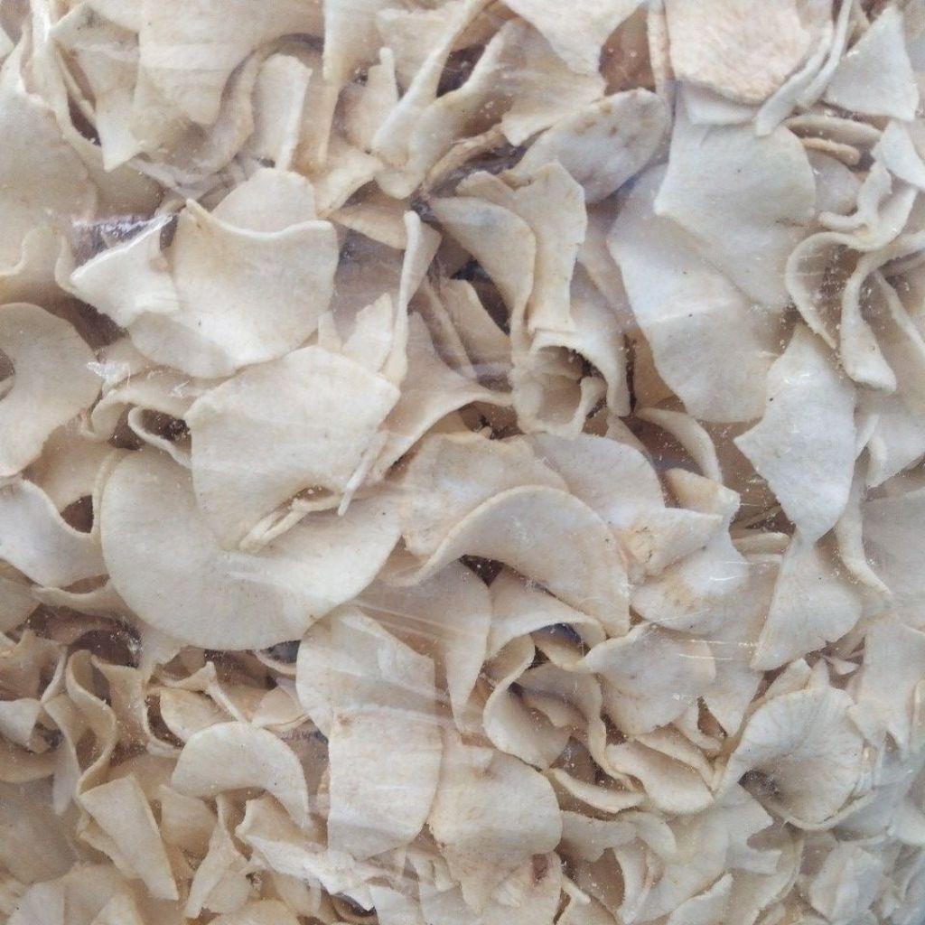 

podung ( singkong rasa gadung )