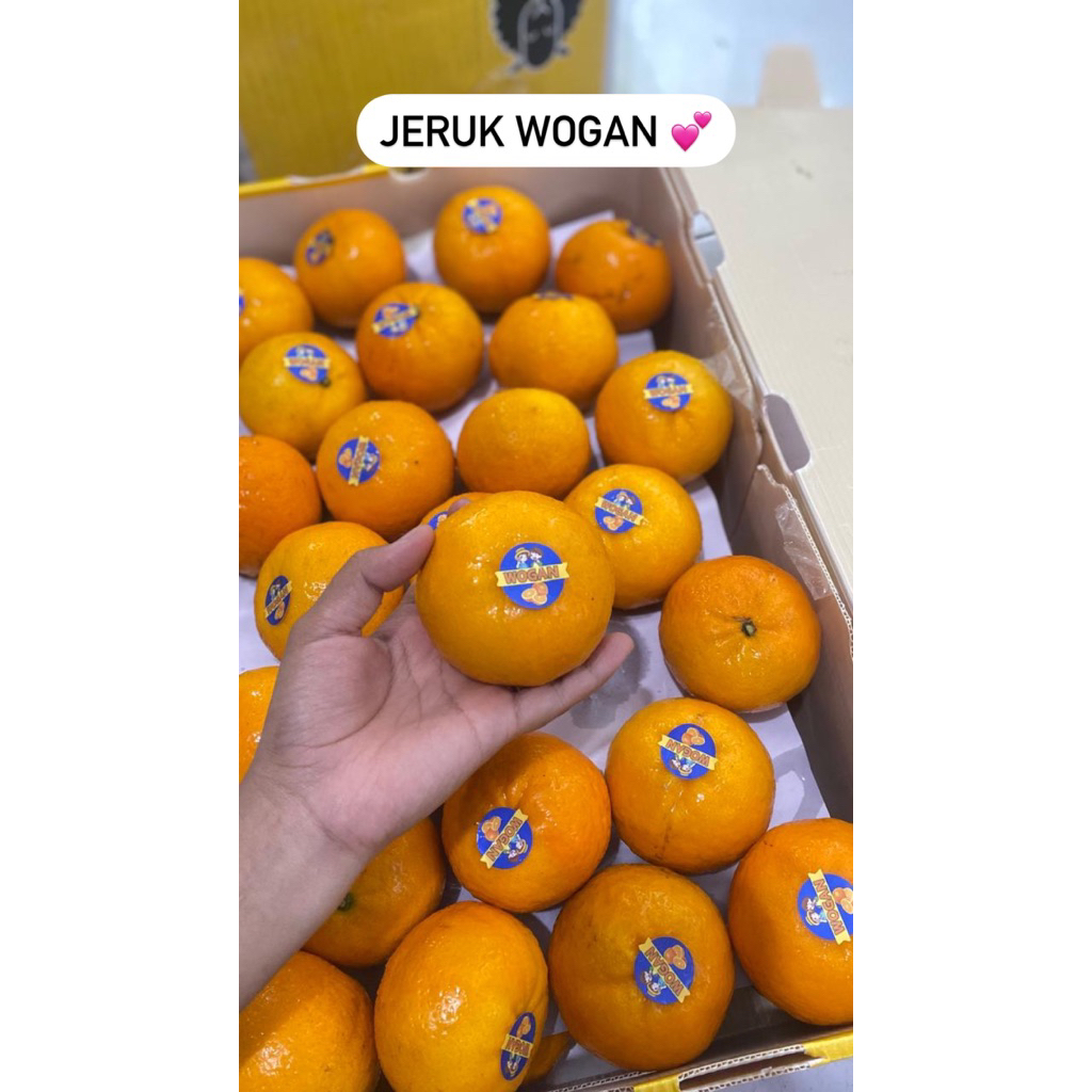 

jeruk wogan 1 kg