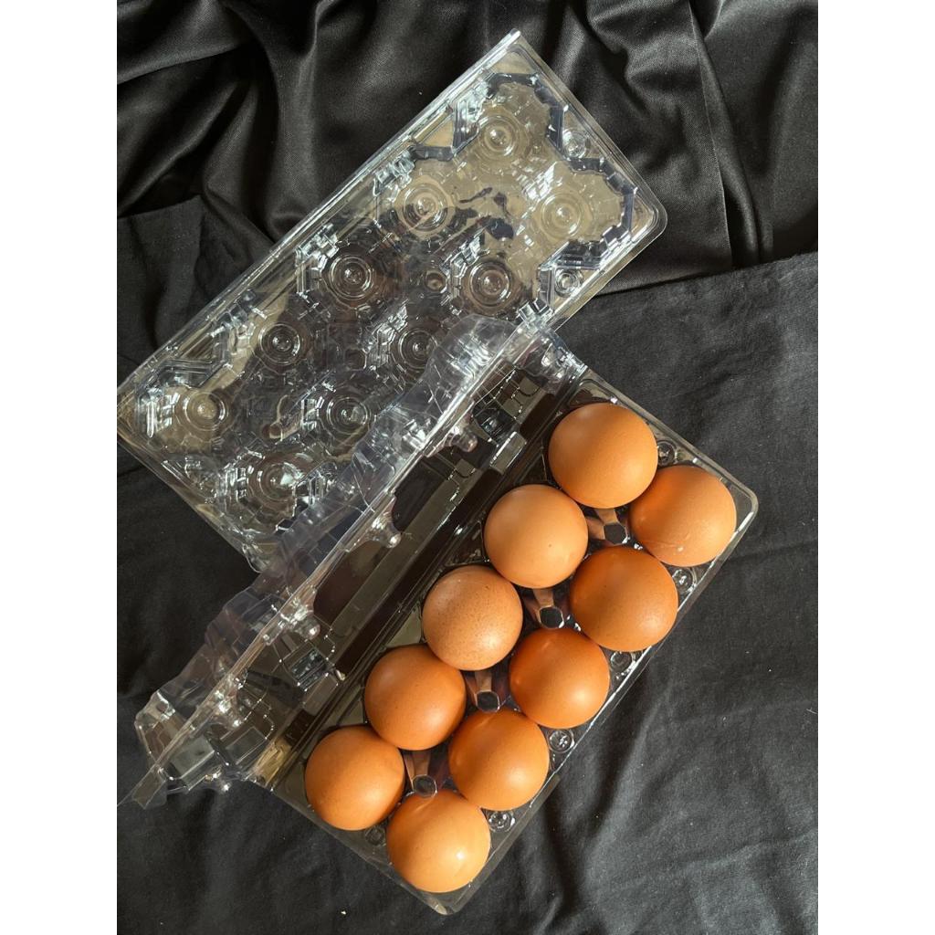Mika Tray Telur Ayam isi 10 Biasa Murah Berkualitas Dengan Kancing