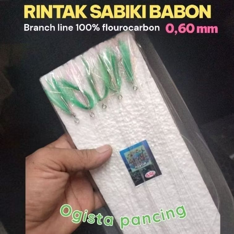 RINTAK SABIKI IKAN BESAR 5 MATA GT TUNA DOGTOOTH MATA BELO MANCING KOTREKAN