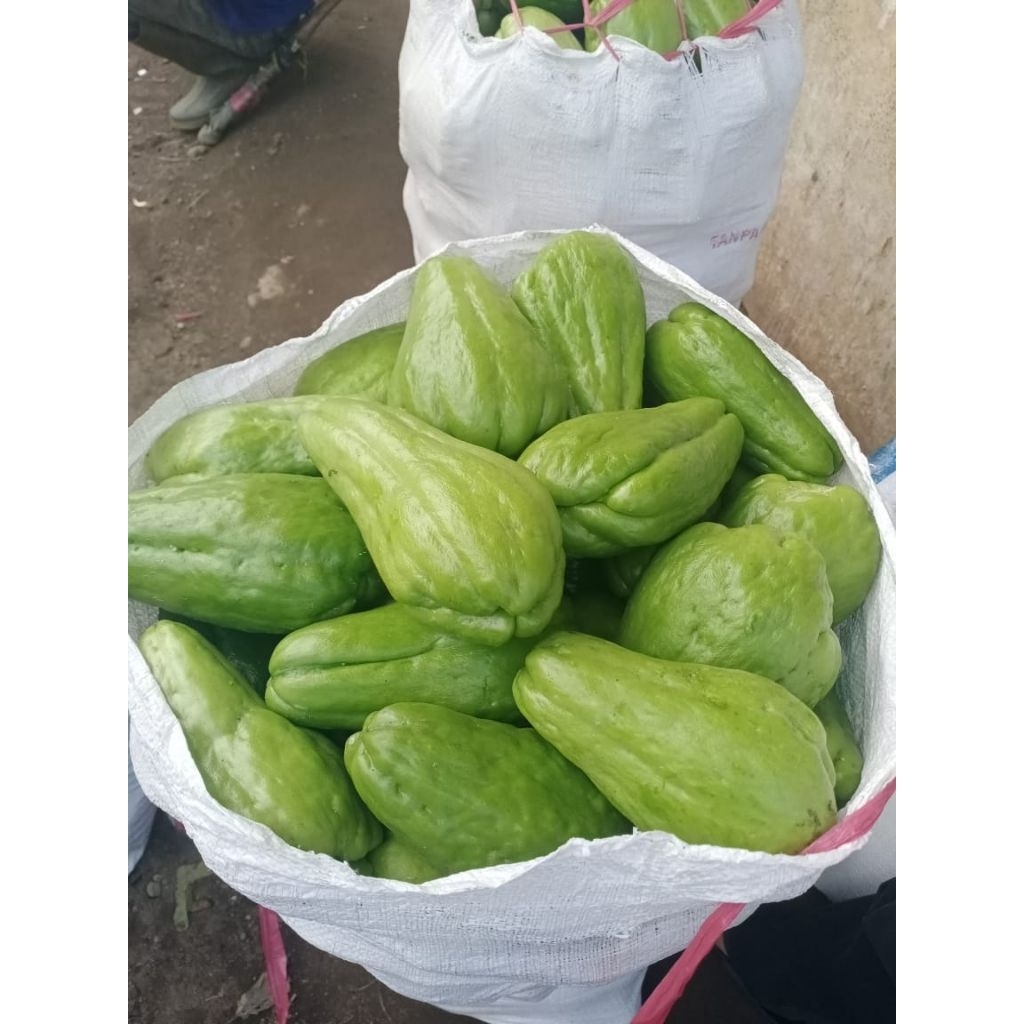 LABU SIAM PG / LABU SIAM JUMBO PER 1 BIJI