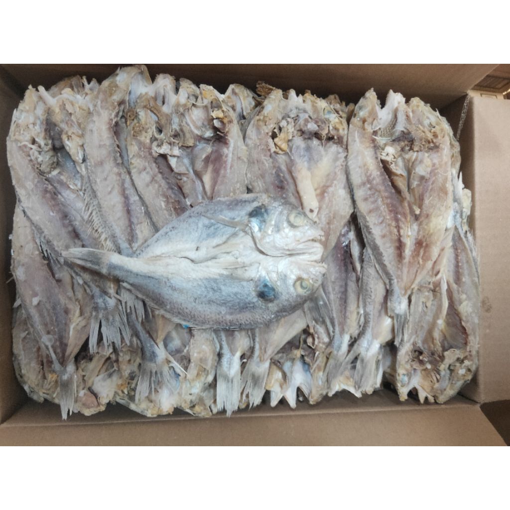 

GROSIR IKAN ASIN ISI 10KG TIGA WAJA BELAH DAGING TEBAL