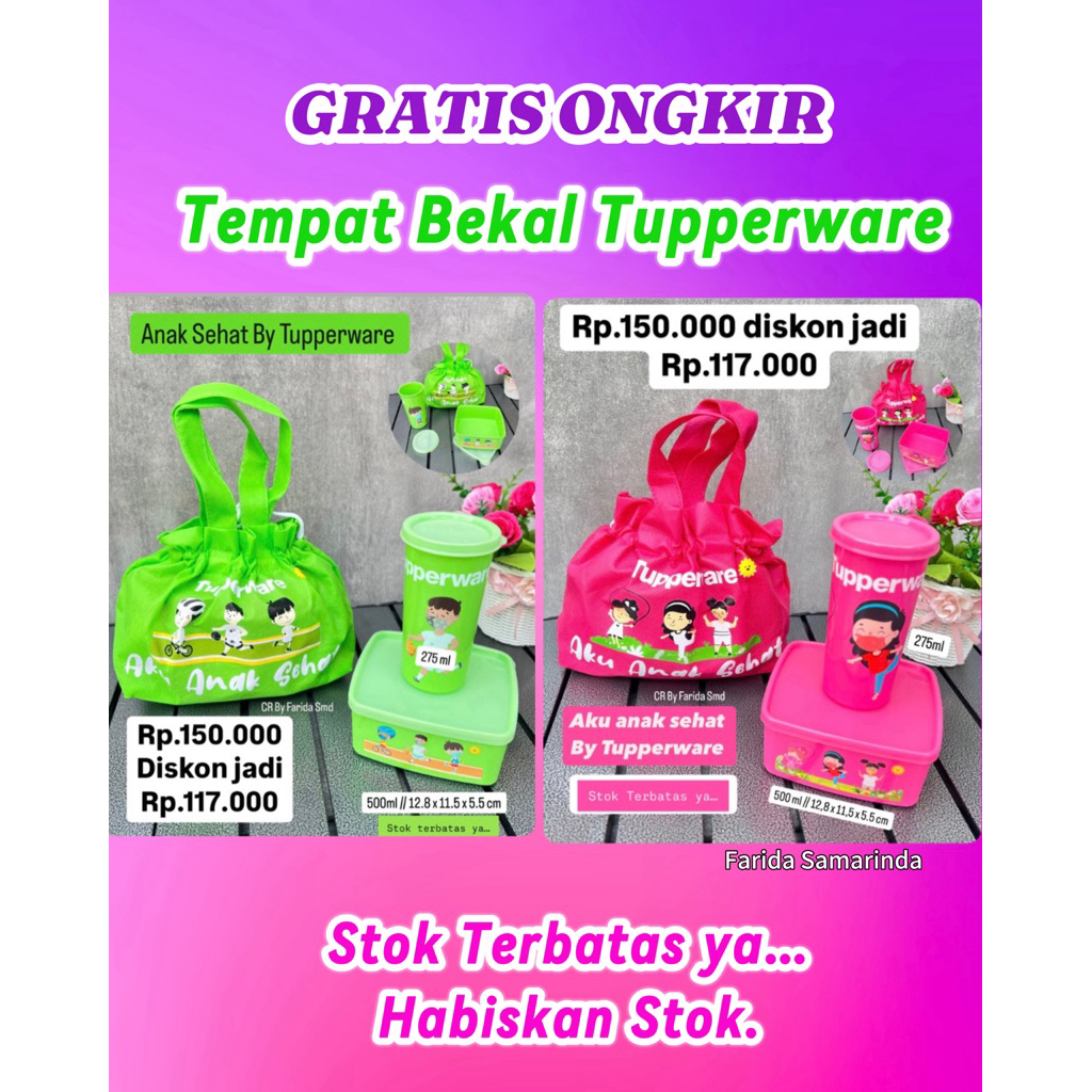 Tempat Bekal Anak Original Tupperware