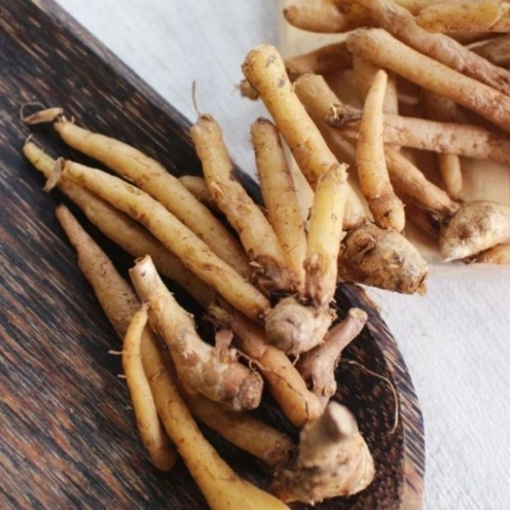 Temu kunci segar rempah rempah