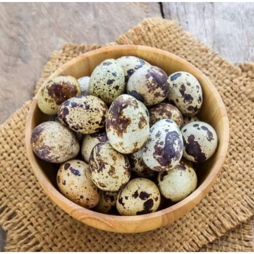 

AL132-Telor puyuh mentah fresh langsung dari kandang greet A isi 10 butir termurah