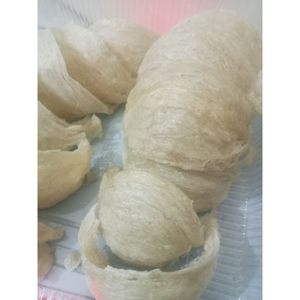 

TERMURAH!!!!walet 50gram tanpa-obat