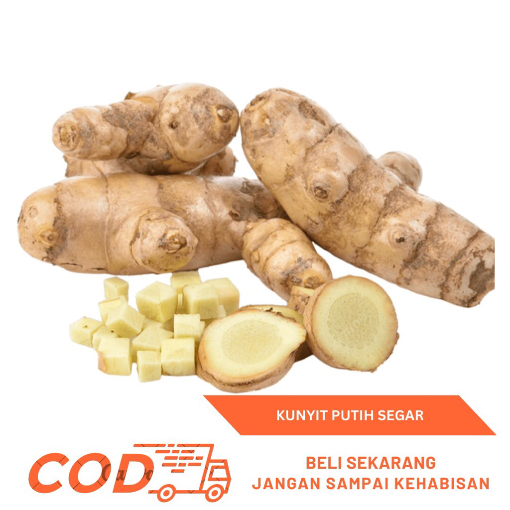 

Kunyit Putih Segar 1kg-Kunyit Putih Fresh