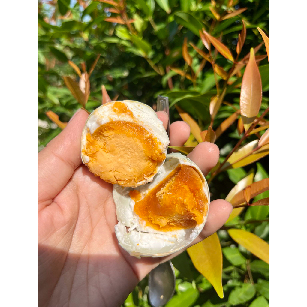 

TELUR ASIN CERIA GURIH LEZAT BERGIZI