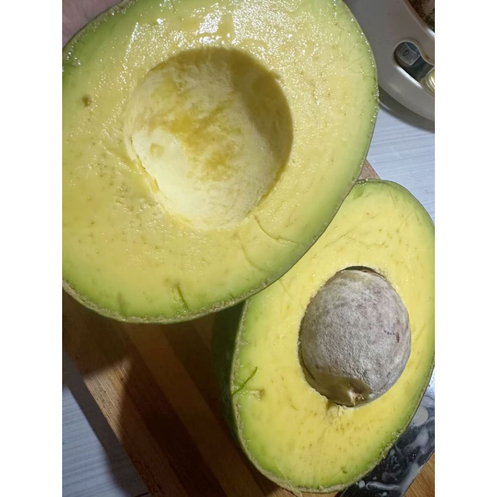 

alpukat mentega jumbo super/1,5 kg isi 2