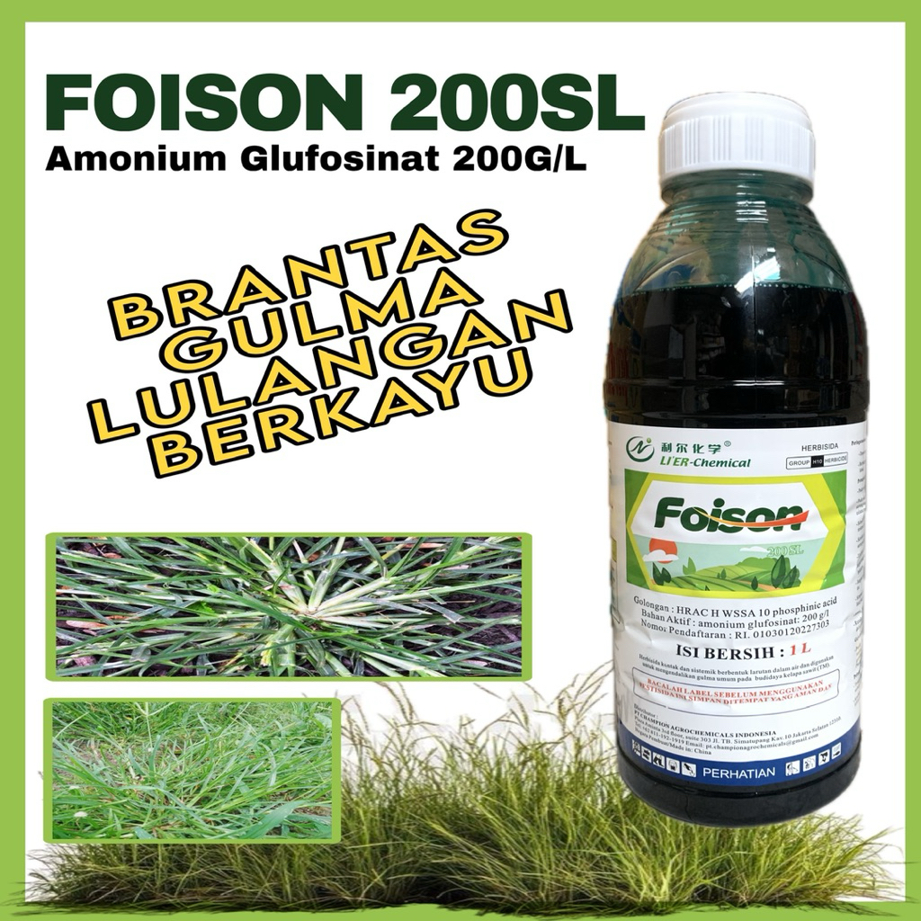 Herbisida Lulangan Foison 200sl - Basmi Rumput lulangan