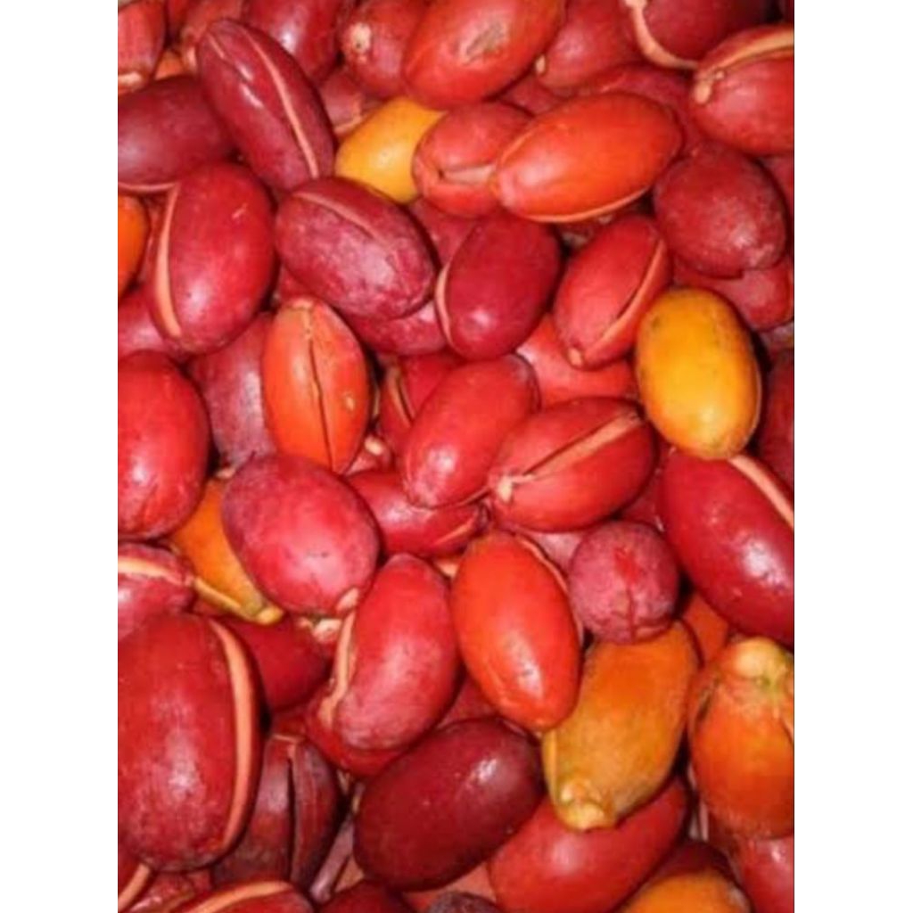 

mlinjo Wonogiri 100 gr