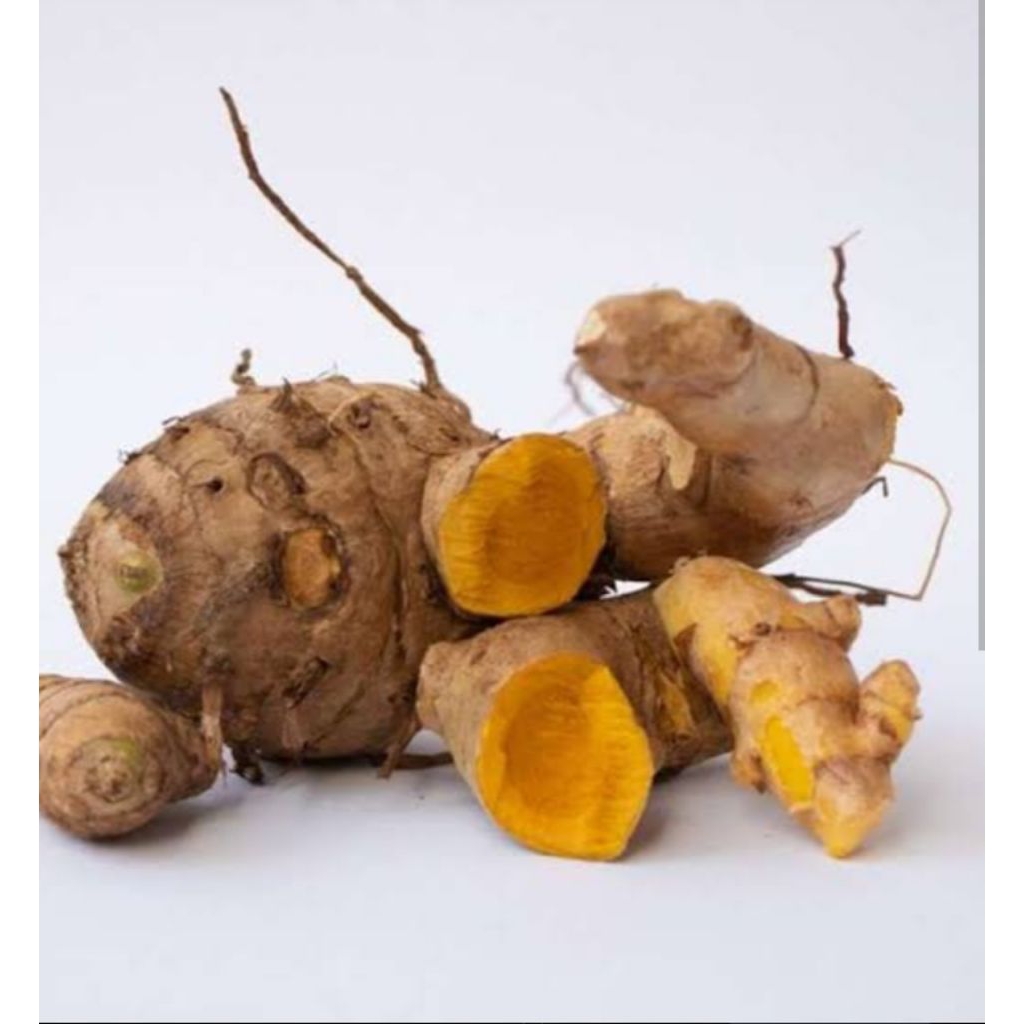 

jual temulawak segar 250grm termurah