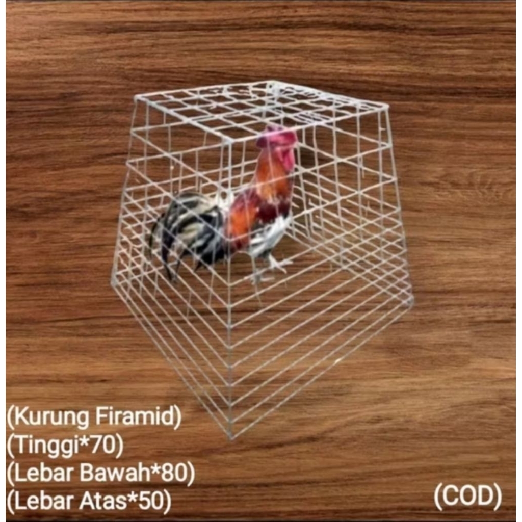 kandang piramid kurung buat jemur ayam.