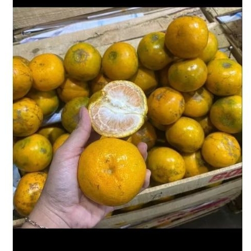 

jeruk Medan super manis Grade A.B.C 1kg