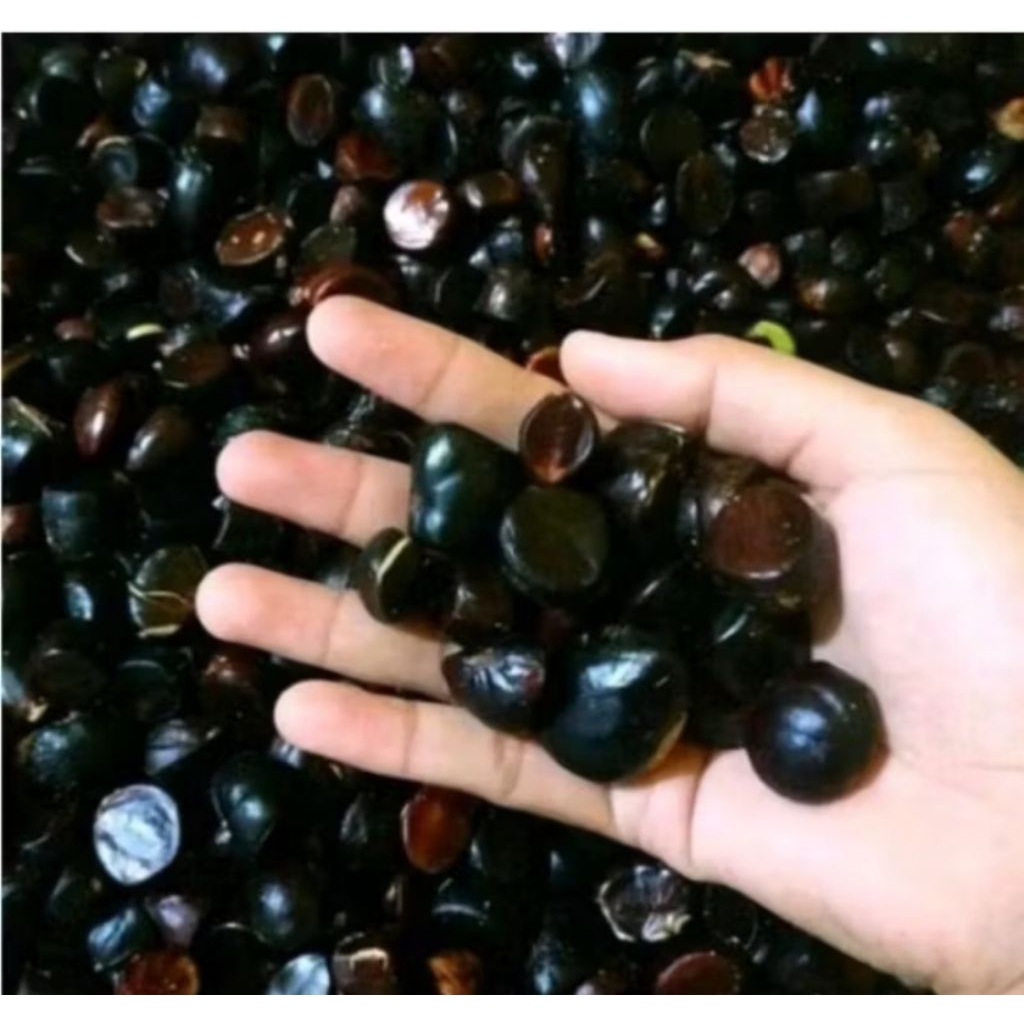 

Kabau Jolang Jaling Kikim – Olahan Tradisional Khas Palembang Enak Gurih