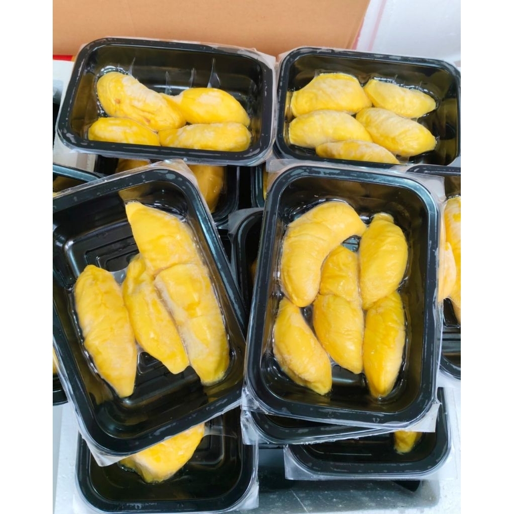 

Durian musangking 3D
