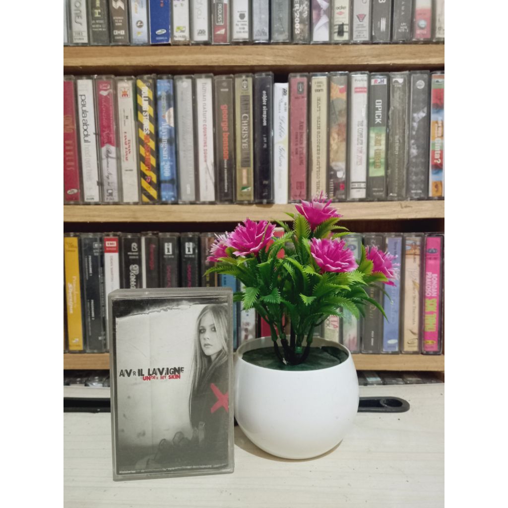 KASET AVRIL LAVIGNE