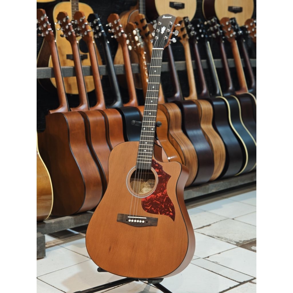 Gitar Akustik Ibanez