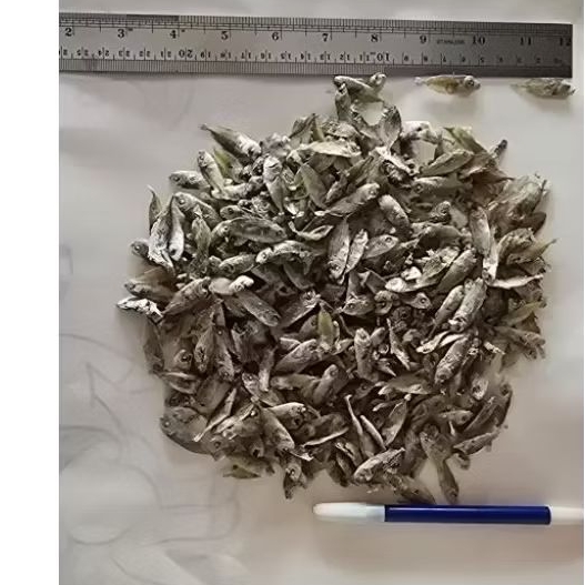 

ikan asin unyil / inul