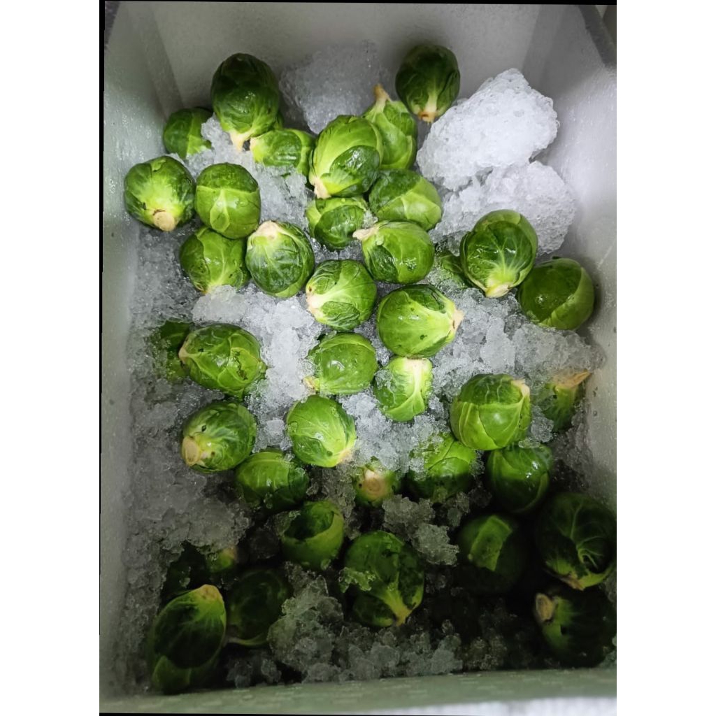 

Brussel Sprouts 1kg