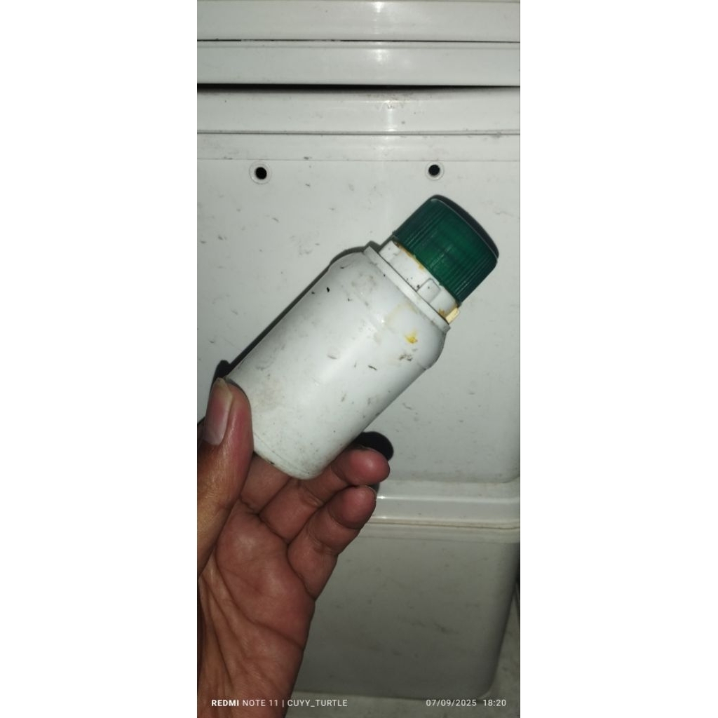 Obat Jamur Kura Kura Ampuh | Penghilang Jamur Kura Kura