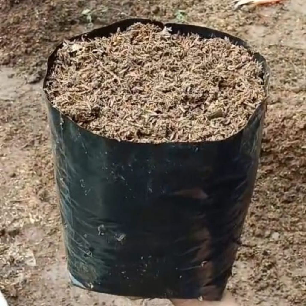 Promo Polibag Plastik Polibag Tanaman 50 Lembar Ukuran 35x35