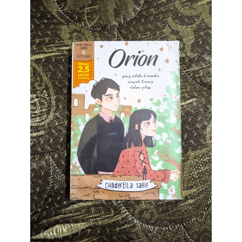 novel high school series Orion