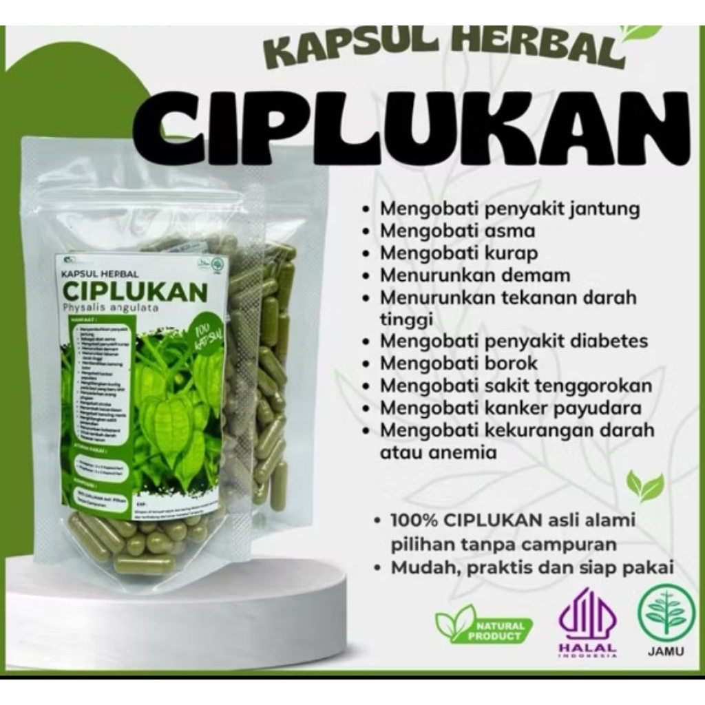 

herbal kapsul ciplukan murni 100%sejuta manfaat "ciplukan kapsul organik 1pack isi 100butir