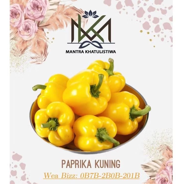 

PAPRIKA KUNING CABE PAPRIKA CABAI PAPRIKA KUNING
