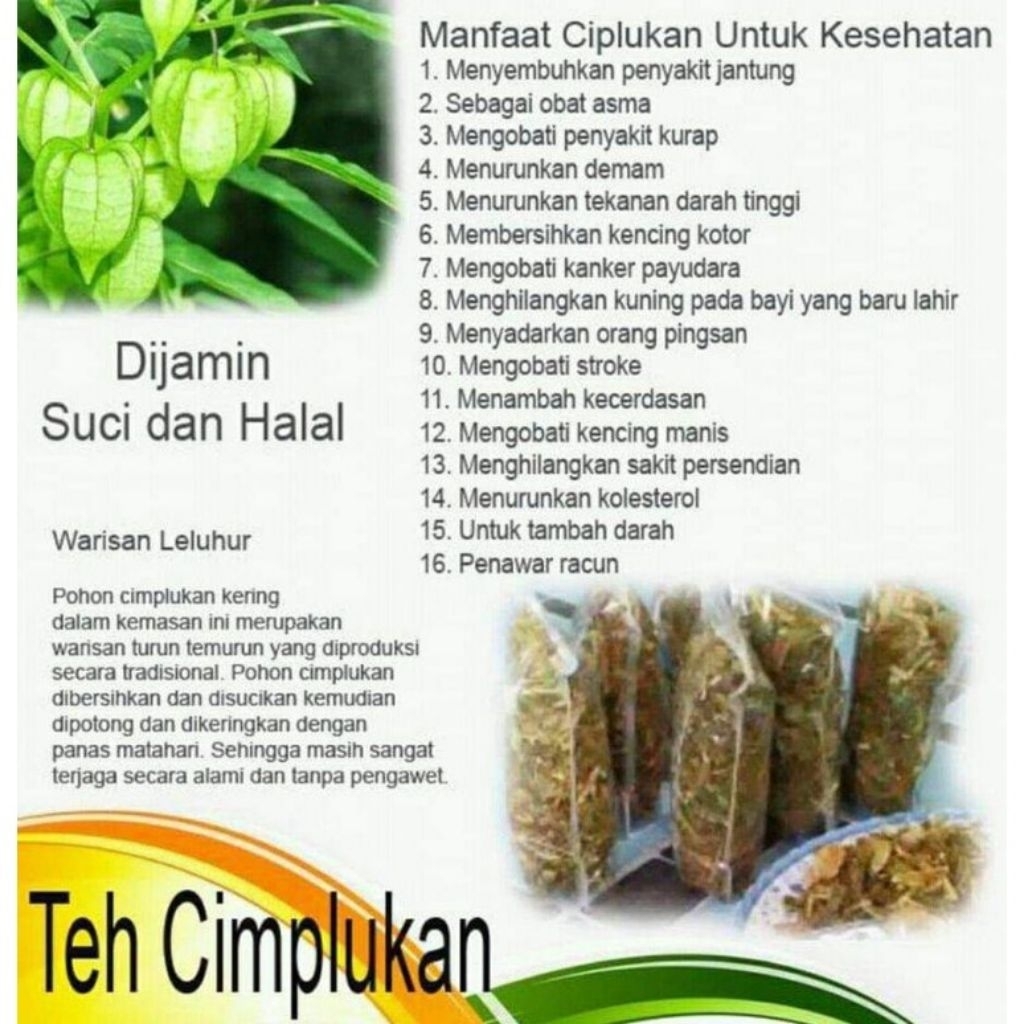 

ciplukan batang akar daun kering 500 gr