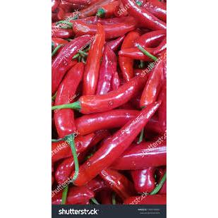 

Cabe Merah Tanjung Fres