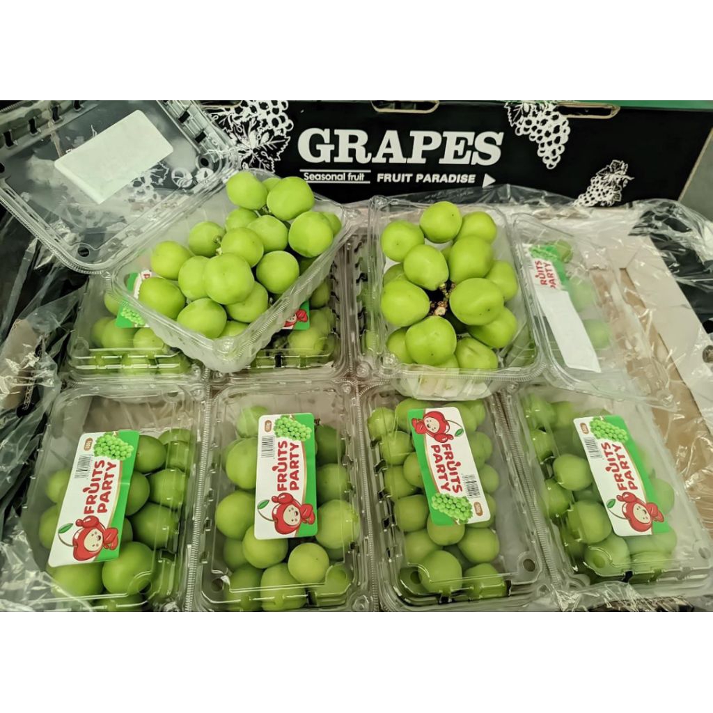 

ANGGUR MUASCAT FRESH 500gram