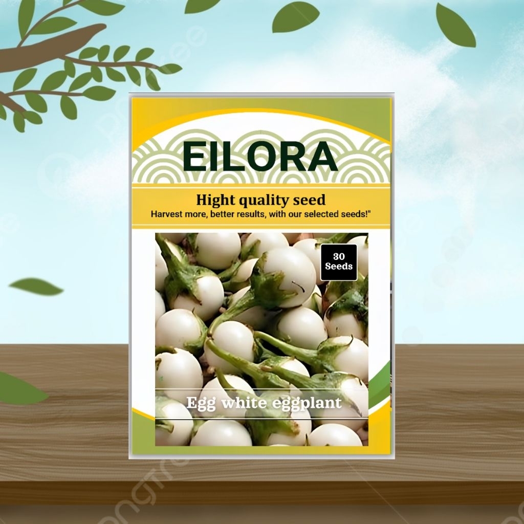 30 BUTIR BIJI/BENIH TERONG TELUR PUTIH