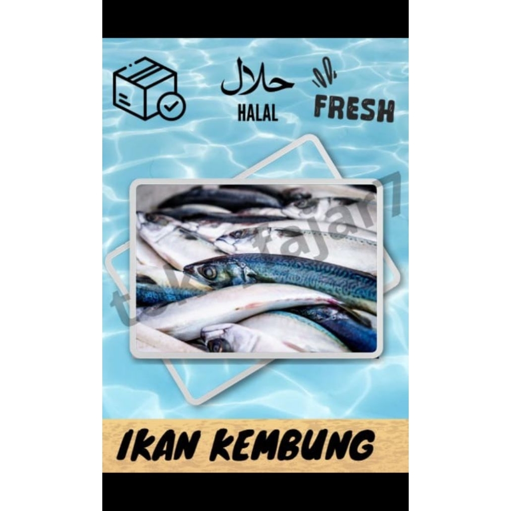 

IKAN KEMBUNG BANJAR PREMIUM Fresh bergaransi
