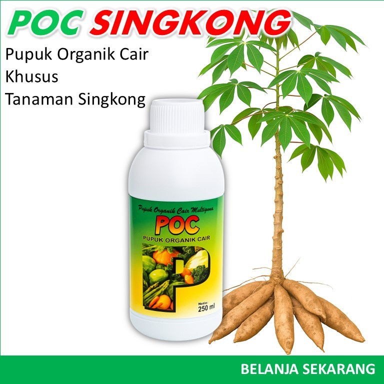POC Singkong Cair / PUPUK ORGANIK CAIR UNTUK Singkong Pembesar Umbi / Pupuk Singkong CEPAT BESAR