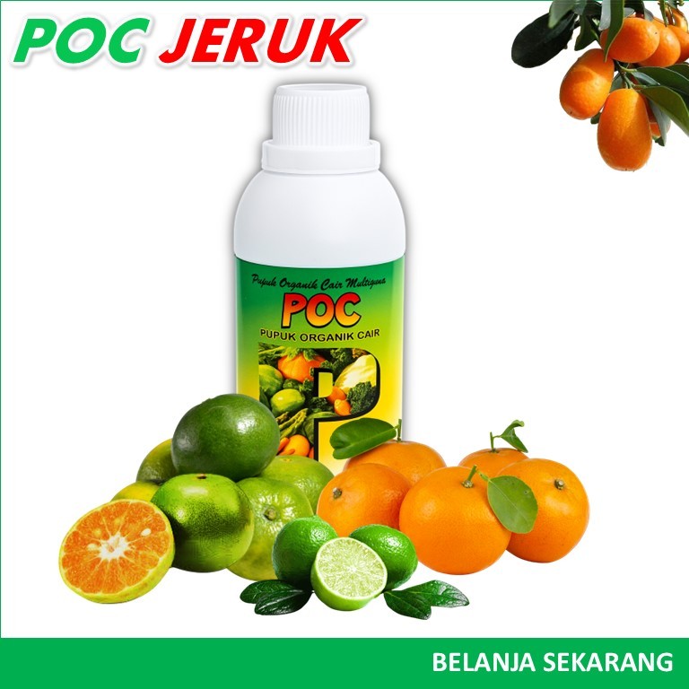POC Jeruk Booster Cepat Berbuah / Pupuk Jeruk Santang Madu / Pupuk Jeruk Purut / Pupuk Jeruk Limau