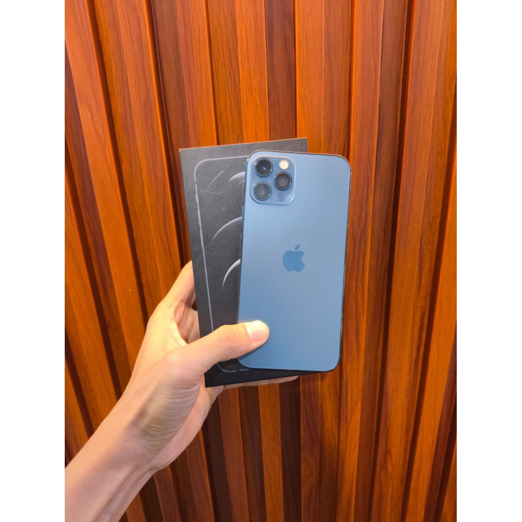 12 ProMax 256Gb Inter Beacukai Allope