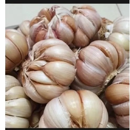 

bawang putih bersih fresh 500gr