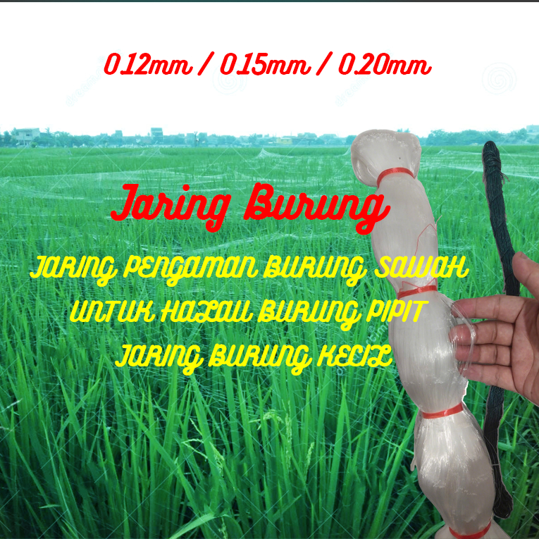 Jaring Burung Sawah Jaring Burung Pipit Jaring Burung Kecil Jaring Padi 90m