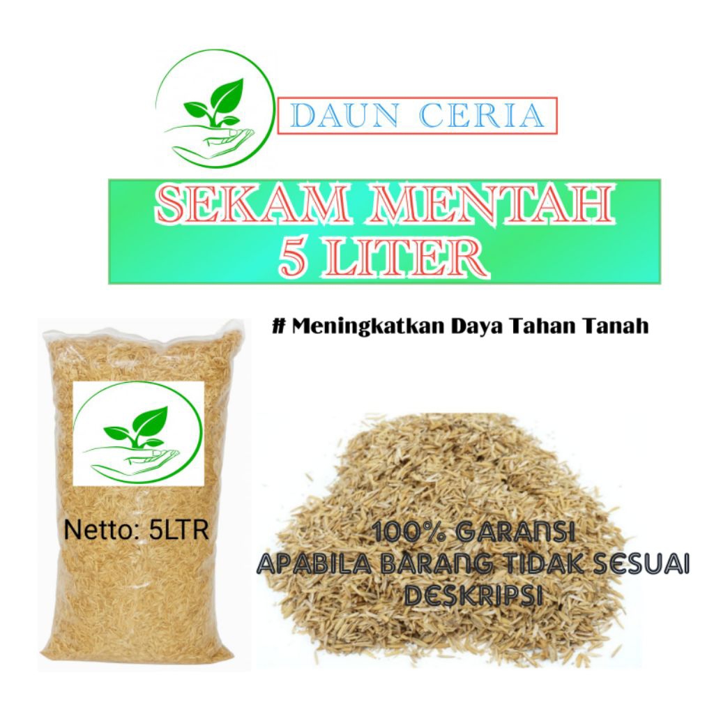 SEKAM MENTAH/SEKAM MENTAH 5LITER