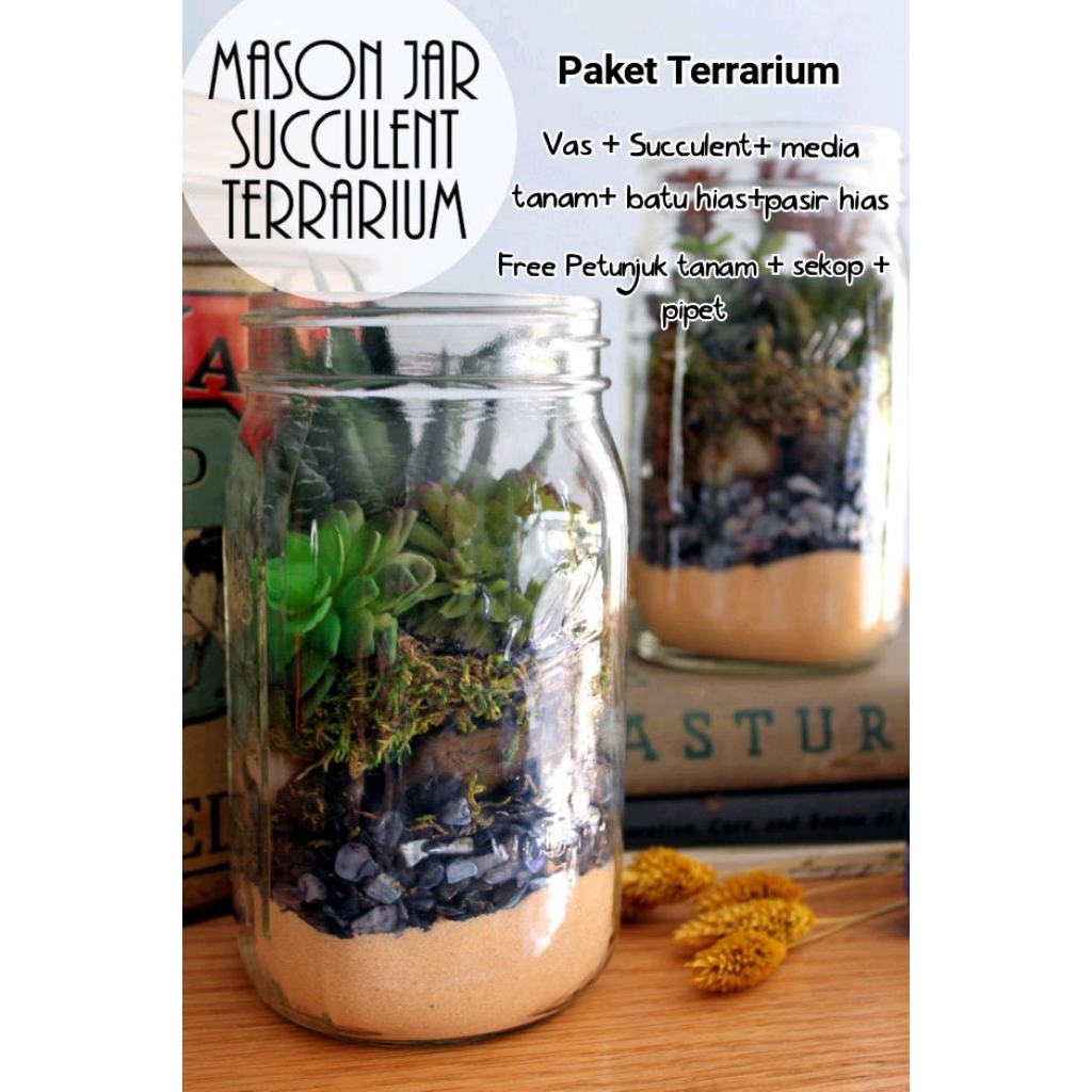 Paket lengkap sekulen tanaman hias terrarium pot kaca