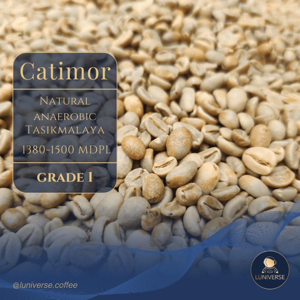 

Green Bean Sigarar Utang / Catimor Natural Anaerobic (NEW CROP) 1KG - Luniverse