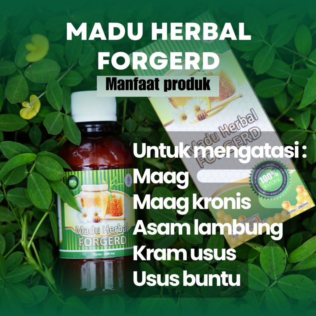 Forgerd Herbal Untuk Asam lambung Bahan Teripang Emas Temulawak Kunyit Madu Ternak Propolis