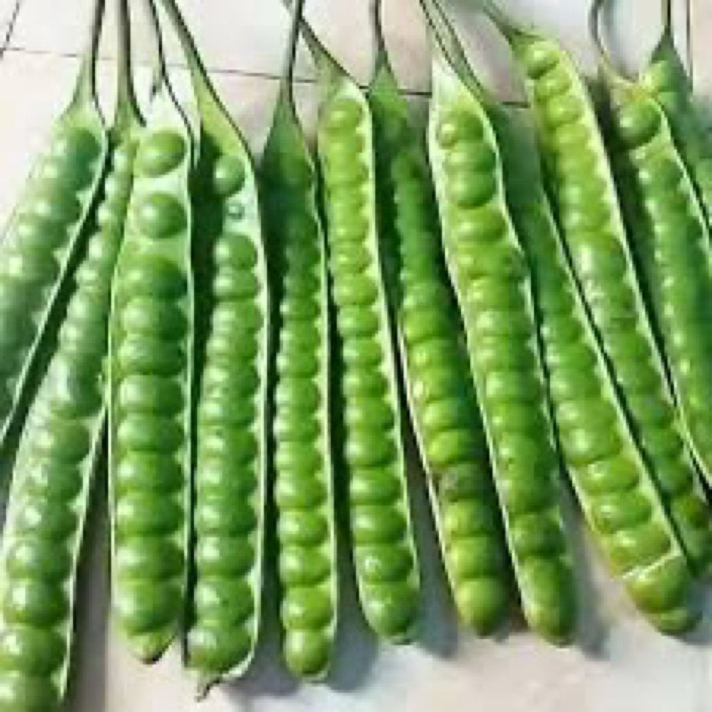 

PETE MANIS SUPER TUA