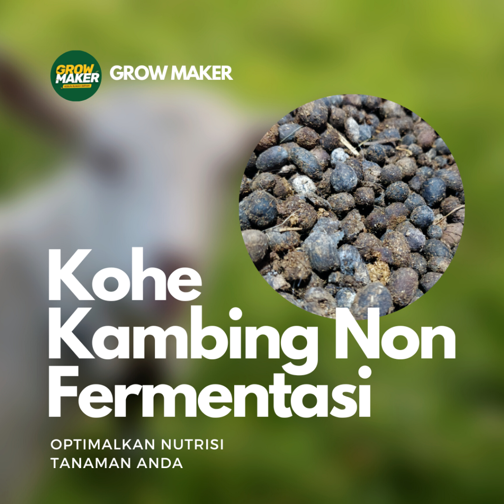 Kohe Kambing Murni Tanpa Fermentasi 1 Kg