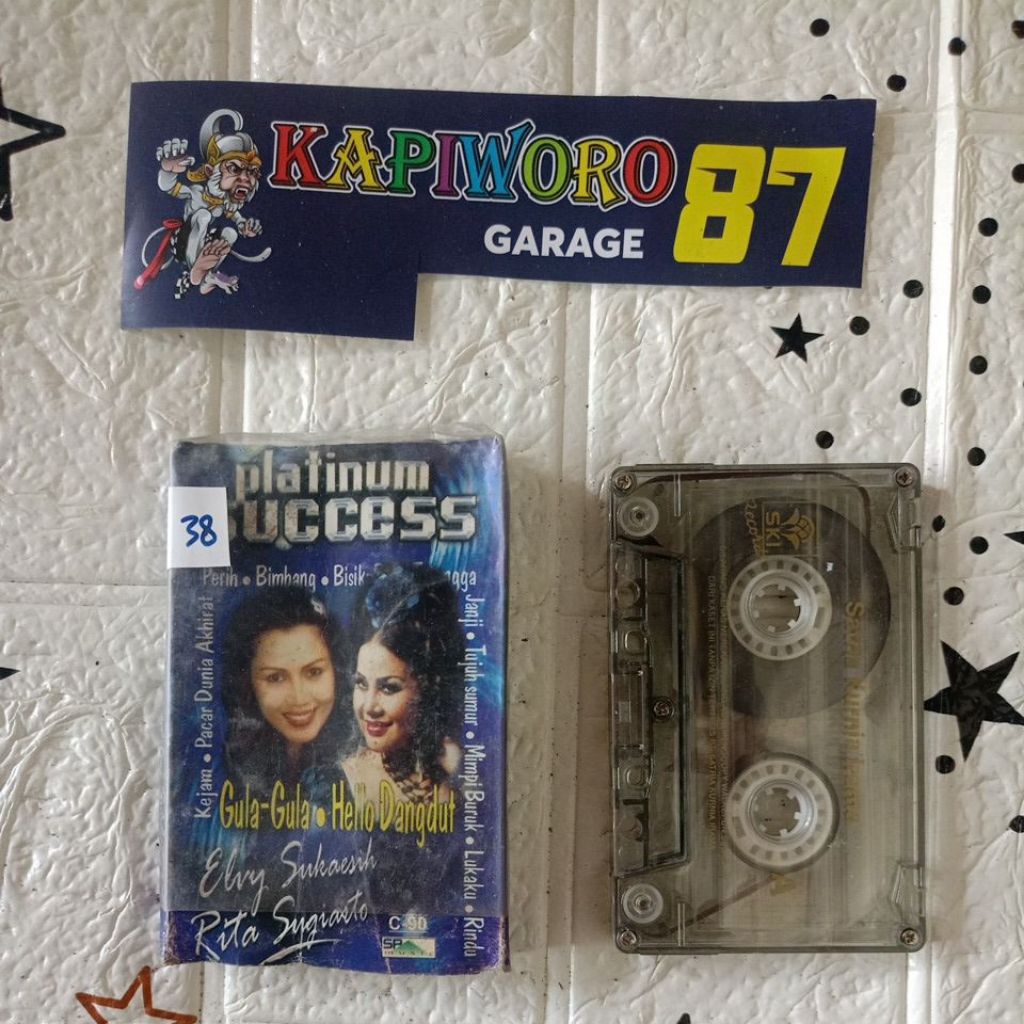 KASET PITA,,,PLATINUM SUCCESS,,ELVY SUKAESIH RITA SUGIARTO