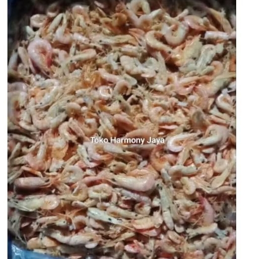 

Udang Ebi Medan Asli (Belum Dikupas)