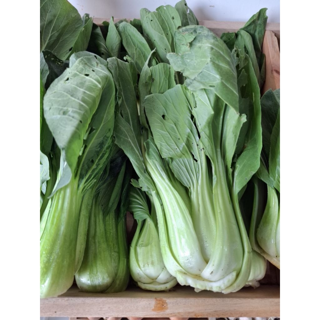 

pakcoy/sawi sendok 100gr