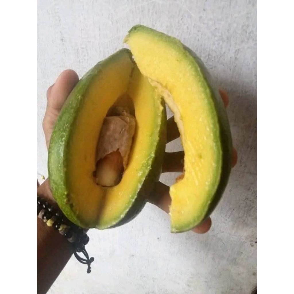 

ALPUKAT MENTEGA SUPER 1KG isi 4 pcs