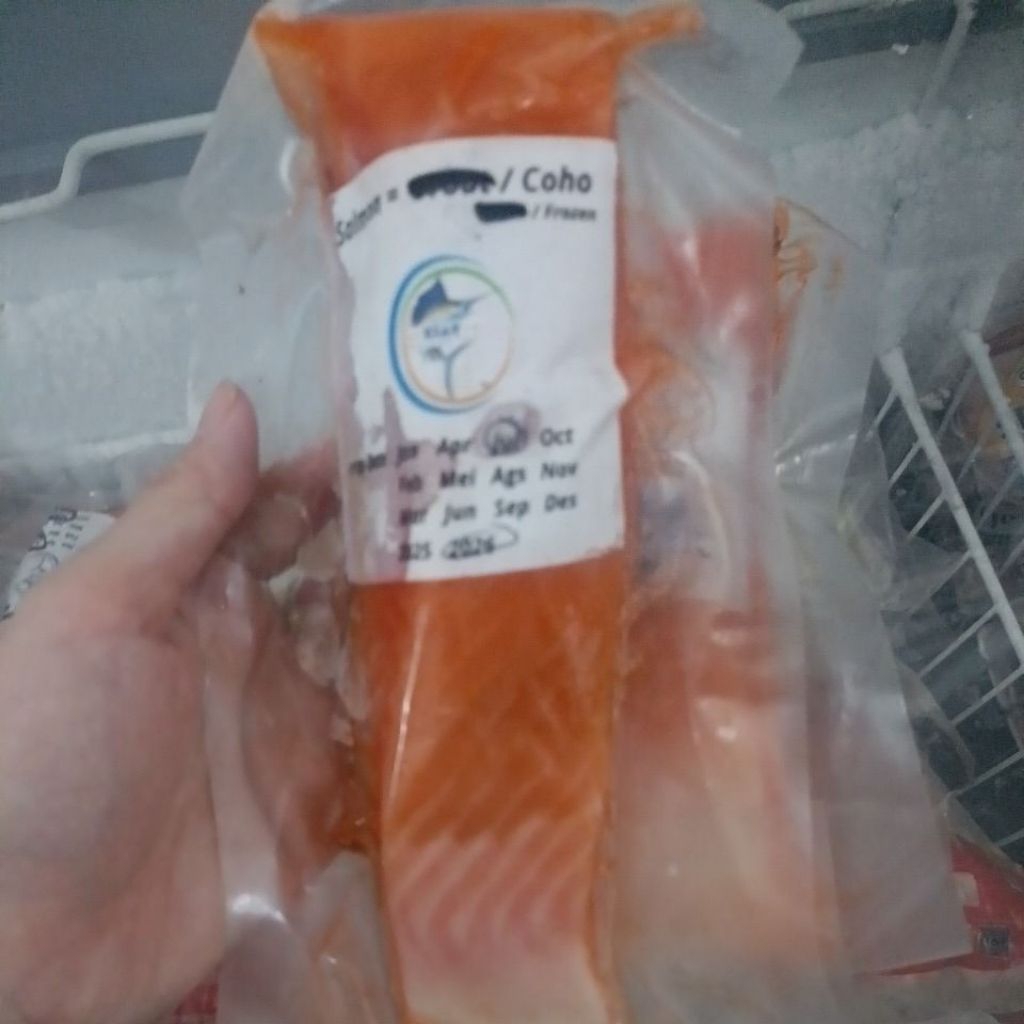

salmon coho